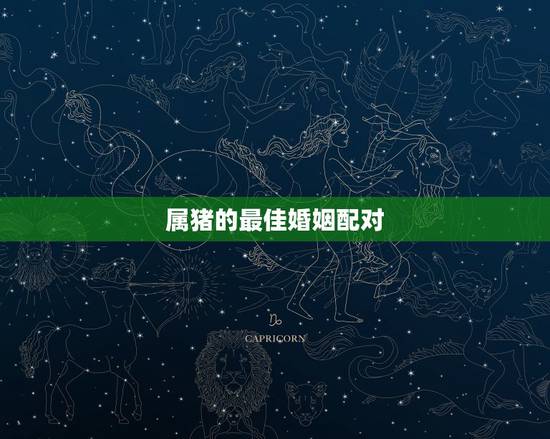 属猪的最佳婚姻配对，1999年兔男的最佳婚姻配对是