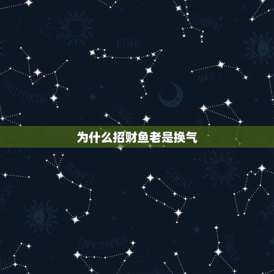 为什么招财鱼老是换气，招财鱼一定要浮出水面呼吸吗