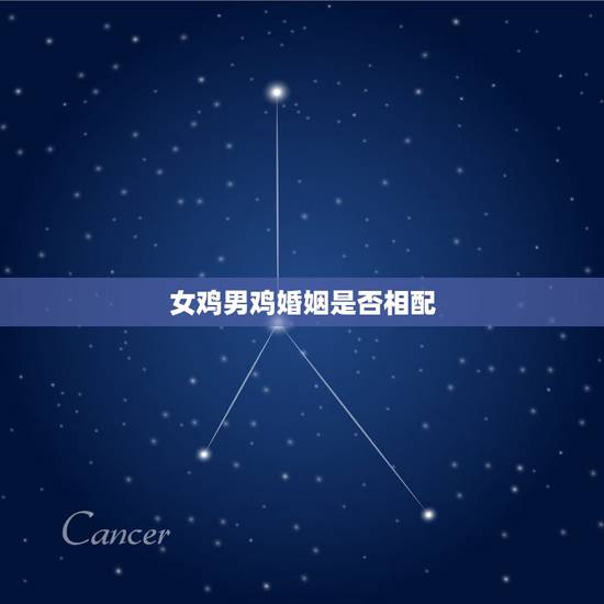 女鸡男鸡婚姻是否相配,女鸡男马婚姻是否相配 女鸡男鸡婚姻是否相配,女鸡男马婚姻是否相配