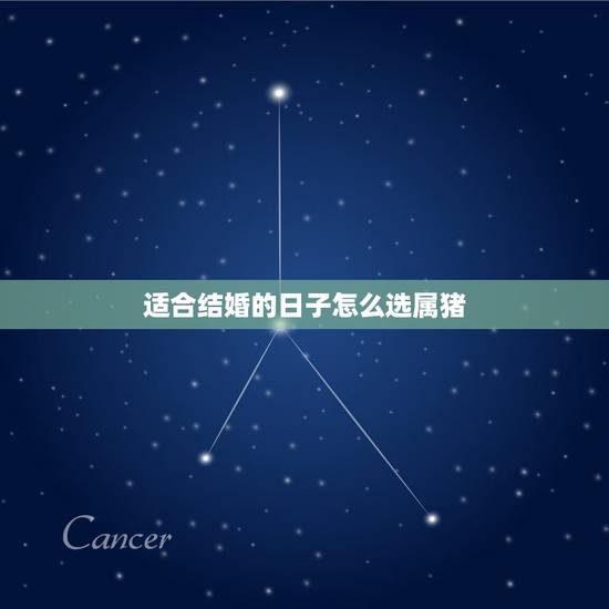 适合结婚的日子怎么选属猪，结婚吉日怎么选？