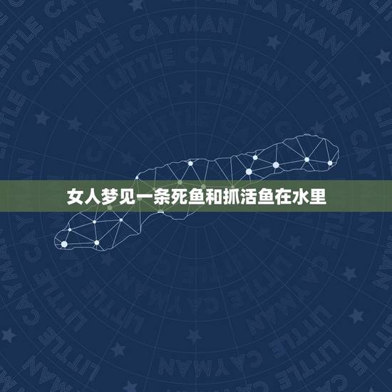 女人梦见一条死鱼和抓活鱼在水里，女人梦见捉鱼，水里有死鱼有活鱼，想捉一