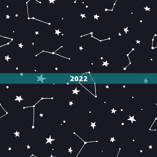 2022 年生肖羊是什么命，2022 年属羊是什么命五行