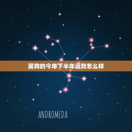 属狗的今年下半年运势怎么样,2021年属狗人的全年运势 属狗的今年下半年运势怎么样,2021年属狗人的全年运势