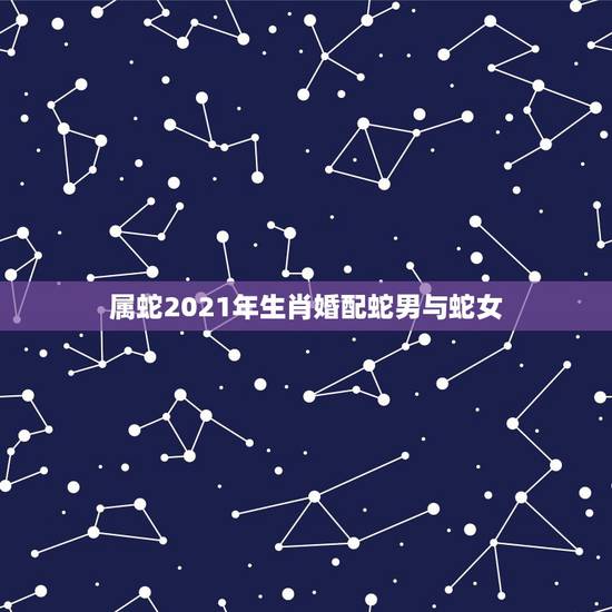 属蛇2021年生肖婚配蛇男与蛇女,属虎女和嘱蛇男2021年会有感情危急 属蛇2021年生肖婚配蛇男与蛇女,属虎女和嘱蛇男2021年会有感情危急