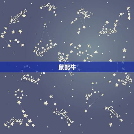 鼠配牛 鼠配牛