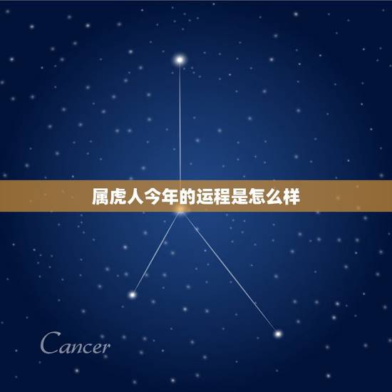 属虎人今年的运程是怎么样 2022年虎女的运势如何