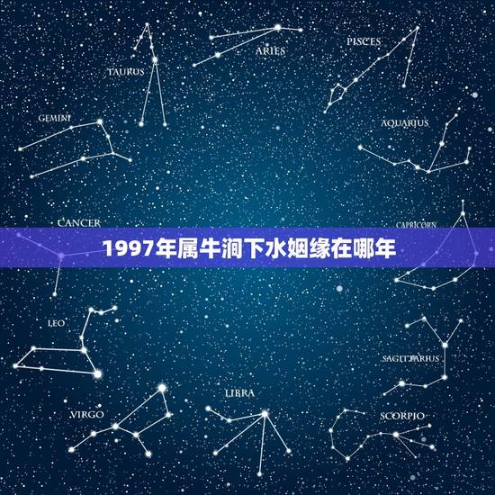 1997年属牛涧下水姻缘在哪年，1997年属牛今年爱情