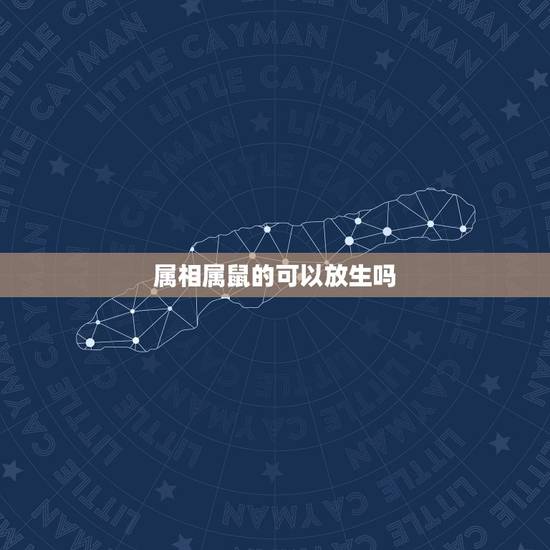 属相属鼠的可以放生吗,1984年12月11日属鼠,命属金,生肖属水,请 属相属鼠的可以放生吗,1984年12月11日属鼠,命属金,生肖属水,请