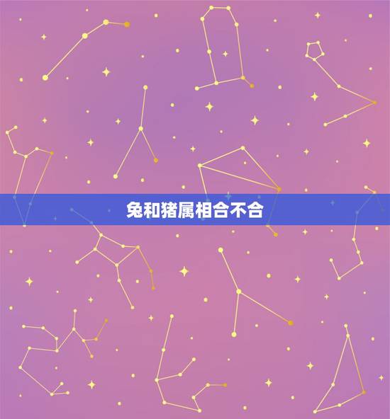 兔和猪属相合不合，猪和兔合不合财