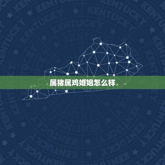 属猪属鸡婚姻怎么样,属猪的和属鸡合婚吗 属猪属鸡婚姻怎么样,属猪的和属鸡合婚吗