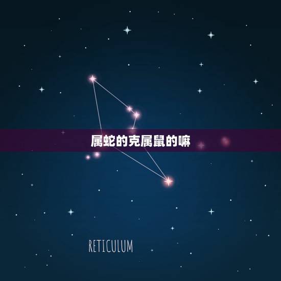 属蛇的克属鼠的嘛,属蛇的守护 属蛇的克属鼠的嘛,属蛇的守护