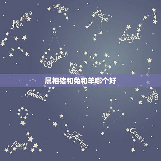 属相猪和兔和羊哪个好,属相所说的三合如猪兔羊,羊和兔在一起很不合伤害很 属相猪和兔和羊哪个好,属相所说的三合如猪兔羊,羊和兔在一起很不合伤害很