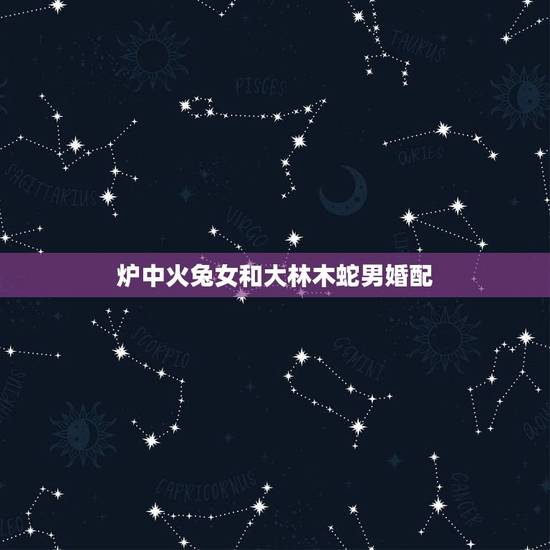 炉中火兔女和大林木蛇男婚配,女属兔炉中火命,男属蛇大林木命俩人合吗? 炉中火兔女和大林木蛇男婚配,女属兔炉中火命,男属蛇大林木命俩人合吗?