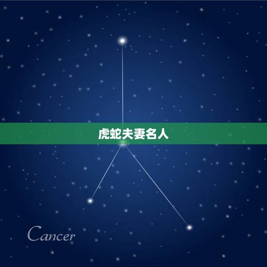 虎蛇夫妻名人，儿孙满堂老人欢、长恨离别夫妻难：什么意思或者什么生肖