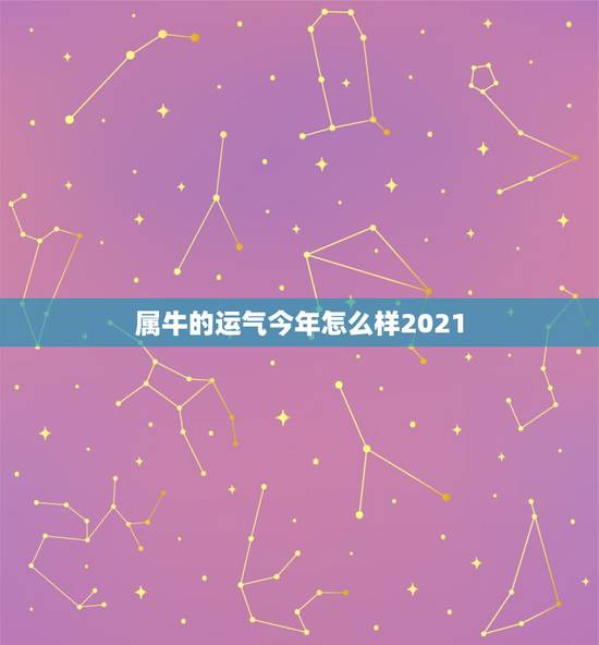 属牛的运气今年怎么样2021，牛年属牛的运势怎么样2021