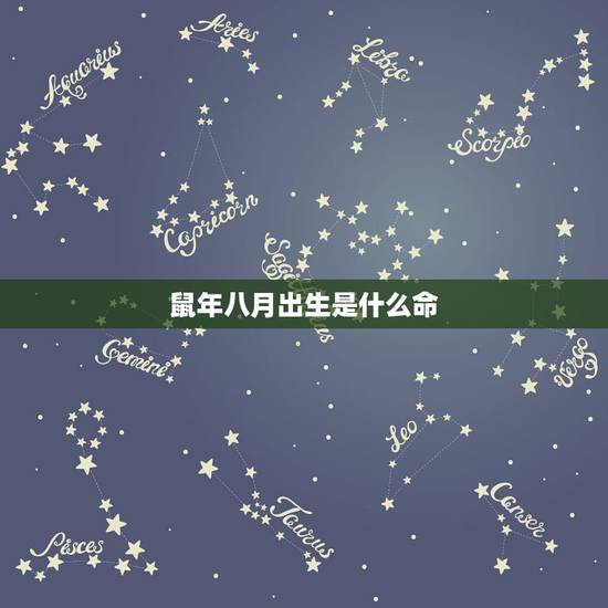鼠年八月出生是什么命，十一月的鼠是什么命