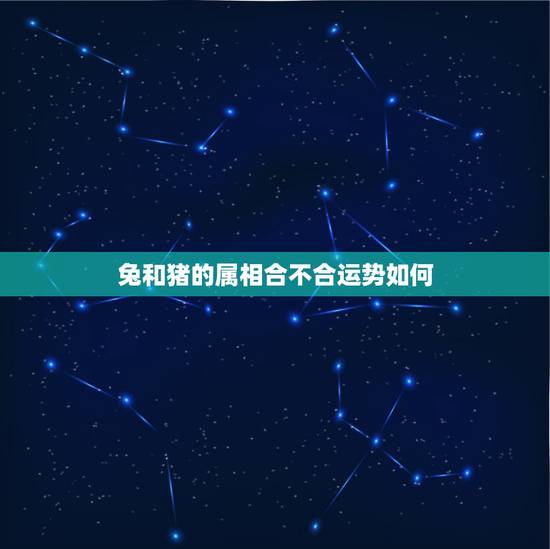 兔和猪的属相合不合运势如何，属兔和属猪属相相配，八字不合可以吗