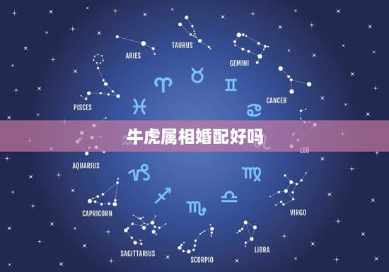 牛虎属相婚配好吗，牛虎属相相配吗
