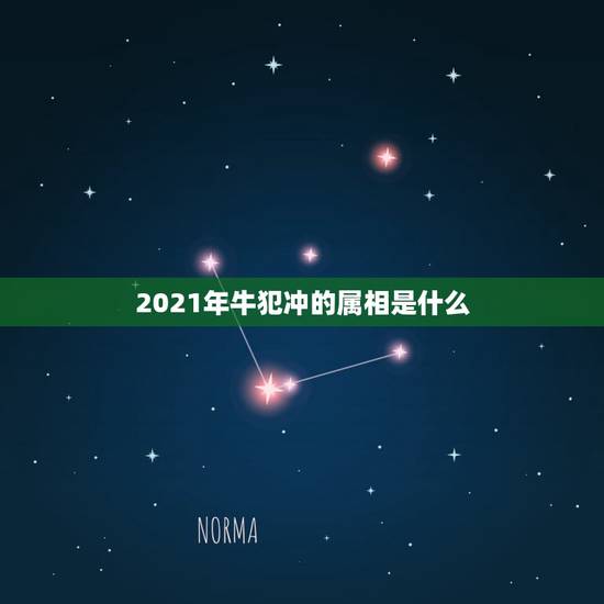 2021年牛犯冲的属相是什么，属猪和什么生肖相冲