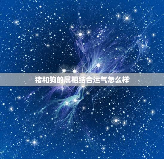 猪和狗的属相结合运气怎么样,狗和猪属相合不合 猪和狗的属相结合运气怎么样,狗和猪属相合不合