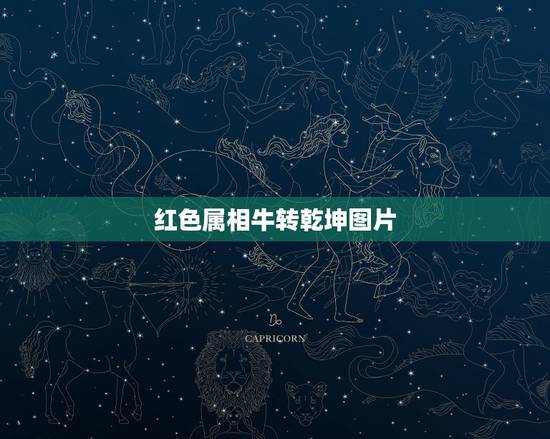 红色属相牛转乾坤图片,《鬼谷八荒》牛转乾坤属性是什么? 红色属相牛转乾坤图片,《鬼谷八荒》牛转乾坤属性是什么?