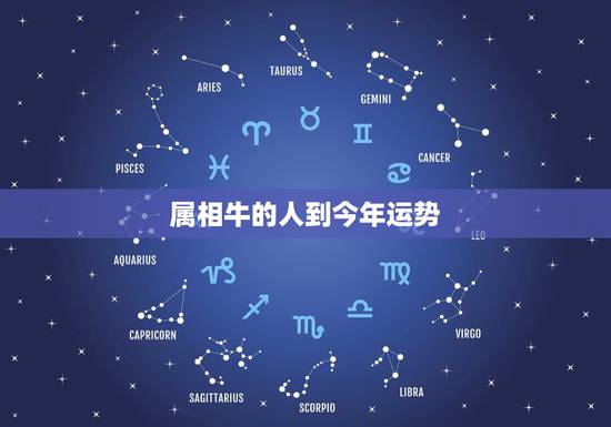属相牛的人到今年运势,2017年属牛人的全年运势 属相牛的人到今年运势,2017年属牛人的全年运势