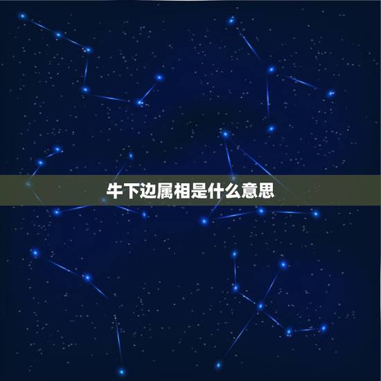 牛下边属相是什么意思,牛相冲代表什么生肖 牛下边属相是什么意思,牛相冲代表什么生肖