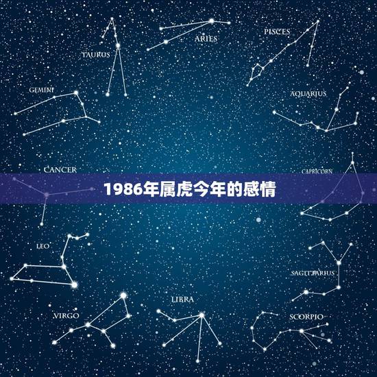 1986年属虎今年的感情 1986年属虎女婚姻状况