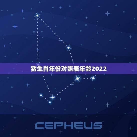 猪生肖年份对照表年龄2022,属相年份对照表2022 猪生肖年份对照表年龄2022,属相年份对照表2022