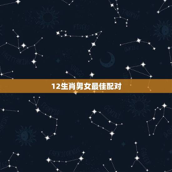 12生肖男女最佳配对，男女属相配对