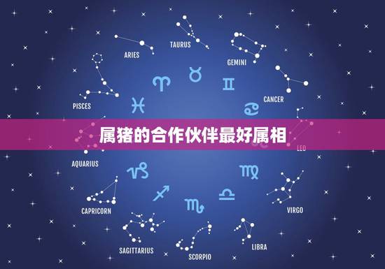 属猪的合作伙伴最好属相，属猪的与哪些属相合作好呢？