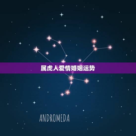 属虎人爱情婚姻运势，86年属虎男有几段婚姻