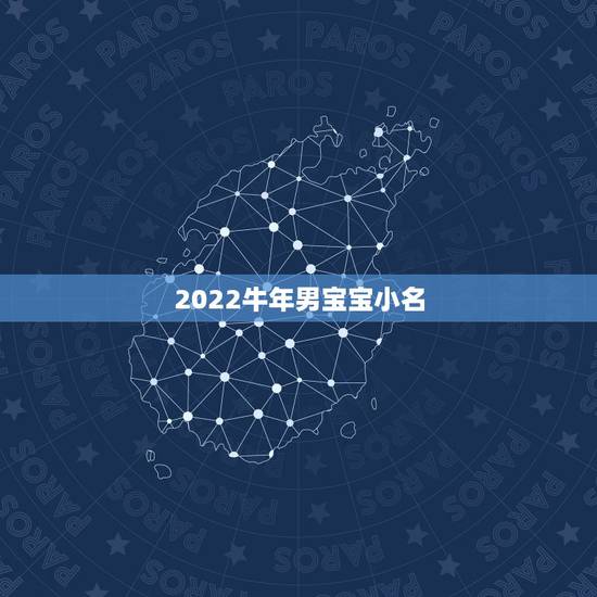 2022牛年男宝宝小名，2022 年男宝宝名字推荐
