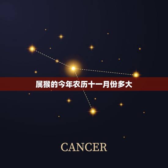 属猴的今年农历十一月份多大，属猴最苦月份