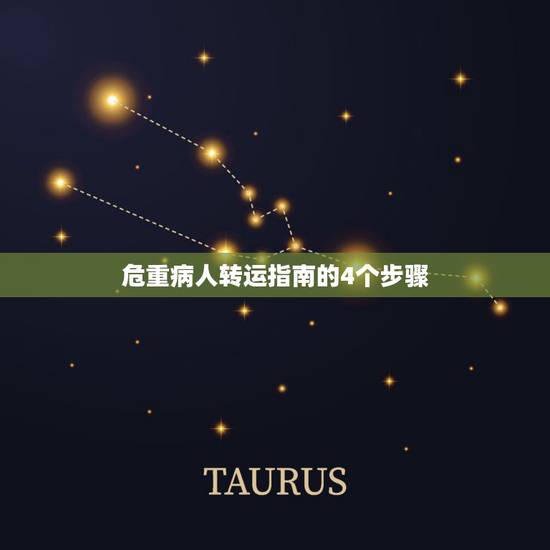 危重病人转运指南的4个步骤,急危重症病人抢救流程图 危重病人转运指南的4个步骤,急危重症病人抢救流程图