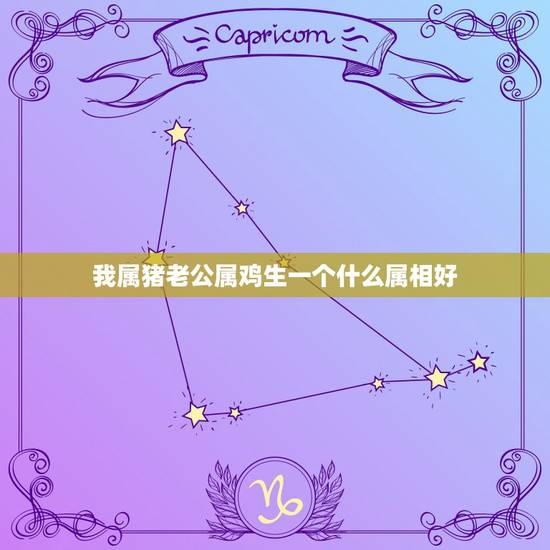我属猪老公属鸡生一个什么属相好,男属猪女属鸡生什么属相的宝宝好? 我属猪老公属鸡生一个什么属相好,男属猪女属鸡生什么属相的宝宝好?