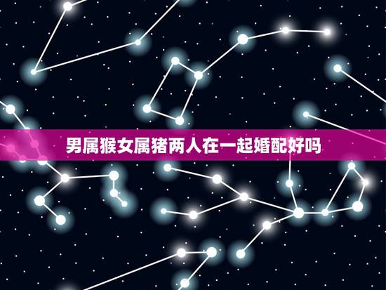 男属猴女属猪两人在一起婚配好吗，属猪的女生和什么属相最配