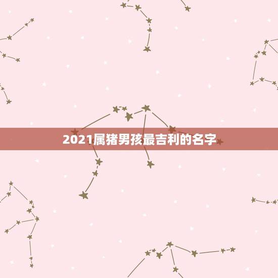 2021属猪男孩最吉利的名字,2021男孩名字洋气 2021属猪男孩最吉利的名字,2021男孩名字洋气