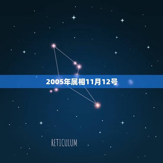 2005年属相11月12号,1951年阴历11月12号生属什么星座 2005年属相11月12号,1951年阴历11月12号生属什么星座