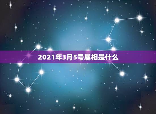 2021年3月5号属相是什么，2021年今天属相是什么