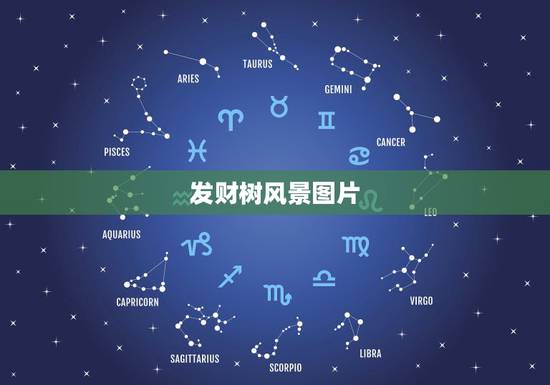 发财树风景图片,我想买一棵发财树,什么样的好啊?(追加分) 发财树风景图片,我想买一棵发财树,什么样的好啊?(追加分)