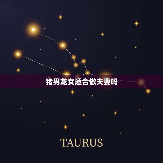 猪男龙女适合做夫妻吗,羊和狗结婚,对谁不利 猪男龙女适合做夫妻吗,羊和狗结婚,对谁不利