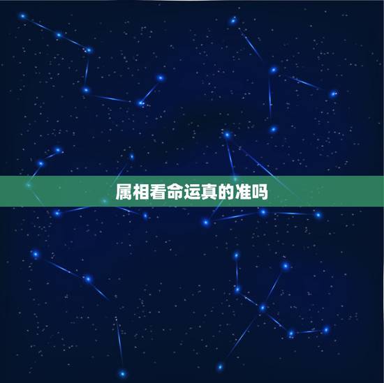 属相看命运真的准吗 一生财运测算免费 属相看命运真的准吗 一生财运测算免费