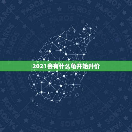 2021会有什么龟开始升价,2021年鳄龟苗多少钱一只 2021会有什么龟开始升价,2021年鳄龟苗多少钱一只