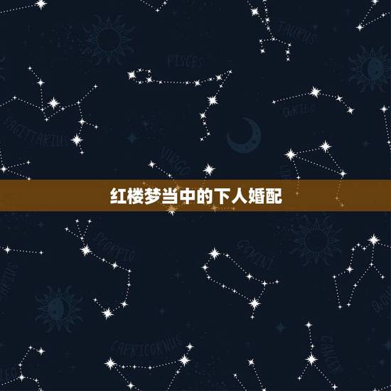 红楼梦当中的下人婚配,红楼梦主要人物的关系 红楼梦当中的下人婚配,红楼梦主要人物的关系