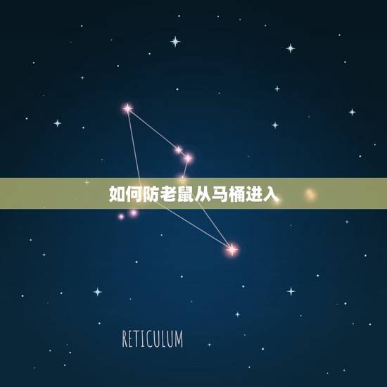 如何防老鼠从马桶进入，蹲式厕所防止老鼠