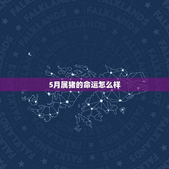 5月属猪的命运怎么样，1983年5月份出生的属猪的人今年运势