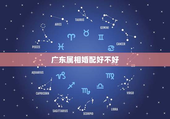 广东属相婚配好不好，属鼠和属蛇的属相配吗