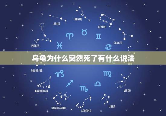 乌龟为什么突然死了有什么说法，乌龟死后要立刻埋葬吗？