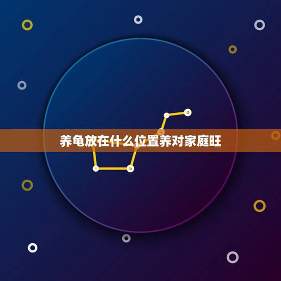 养龟放在什么位置养对家庭旺，乌龟放在家里什么位置好？